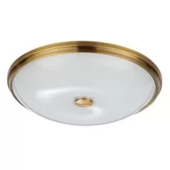 Настенно-потолочный светильник Pelow 4956/5 Odeon Light