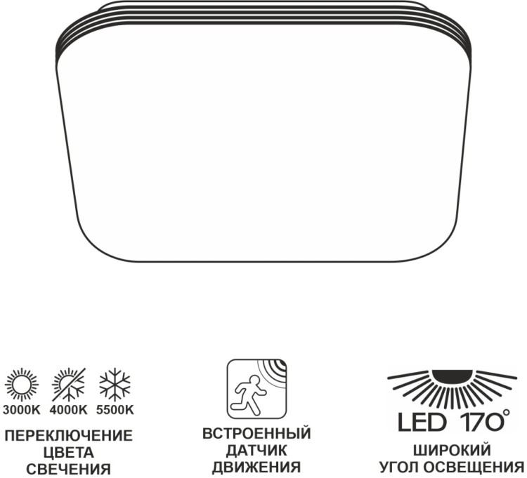 Потолочный светильник Симпла CL714K24SV